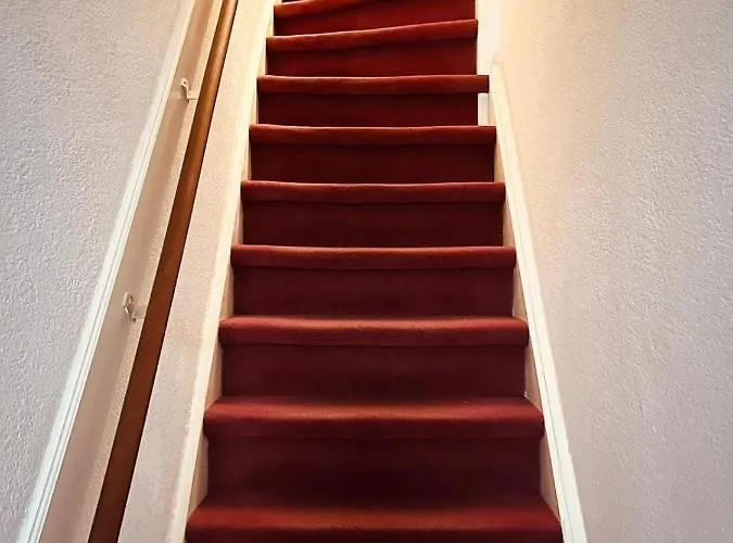 Aris أمستردام